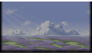 Lavender Field - Day