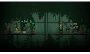Rainy Day Greenhouse