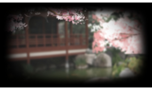 Sakura view 2