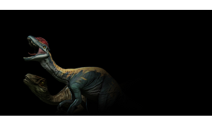 Dilophosaurus and Novaraptor