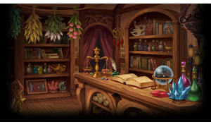 The Magical shop