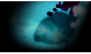 Element4l - Heart