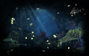 Underwater World - Moray fish