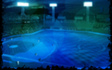 Ballpark (Blue-Green)