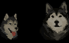 Two Sled Dogs