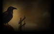 Raven background