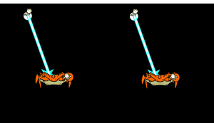 Crab Split Art