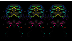 Space Moth DX - Pepper Beetles