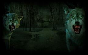 Two bloodthirsty wolves