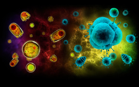 Bacteria vs Virus