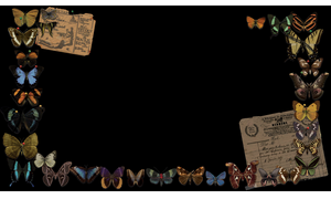 Mystery Case Files®: Escape from Ravenhearst™ Butterfly Collection