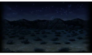 Nighttime Desert