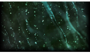 Optika - Nebula Y