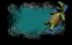 Turtle Zen