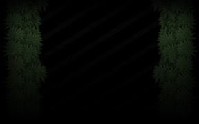 HUNGER Forest Profile Background