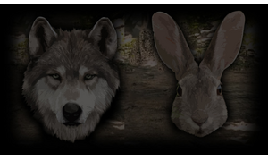 Wolf and Rabbit
