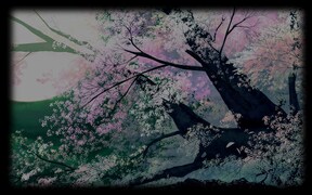 Sakura no Mori † Dreamers•Tree