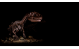 Raptor Background