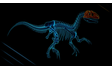 XRAY Dino Background